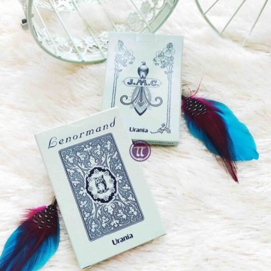 Lenormand Blue Owl